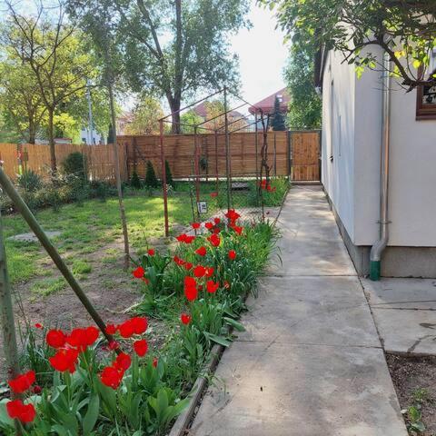 Ujszeged Apartman Eksteriør billede